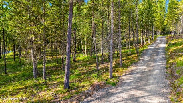 NNA Gold Mountain Dr, Sagle, ID 83860
