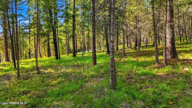 NNA Gold Mountain Dr, Sagle, ID 83860