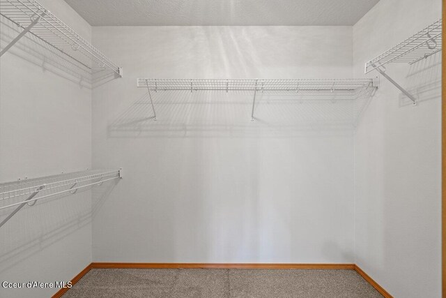 1100 E Autumn Crest Loop, Post Falls, ID 83854 - spacious closet featuring carpet