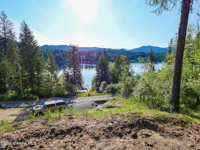 15297 N Shenandoah Dr, Hayden Lake, ID 83835
