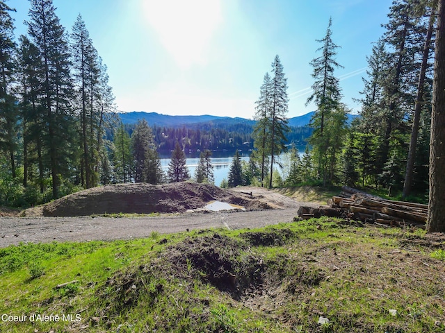 15297 N Shenandoah Dr, Hayden Lake, ID 83835