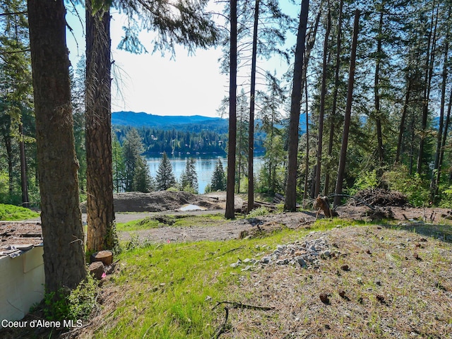 15297 N Shenandoah Dr, Hayden Lake, ID 83835