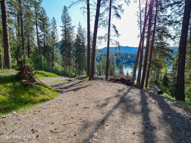 15297 N Shenandoah Dr, Hayden Lake, ID 83835