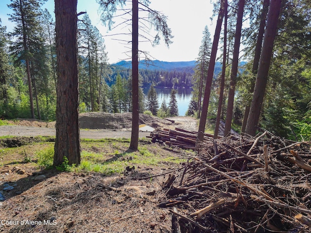 15297 N Shenandoah Dr, Hayden Lake, ID 83835