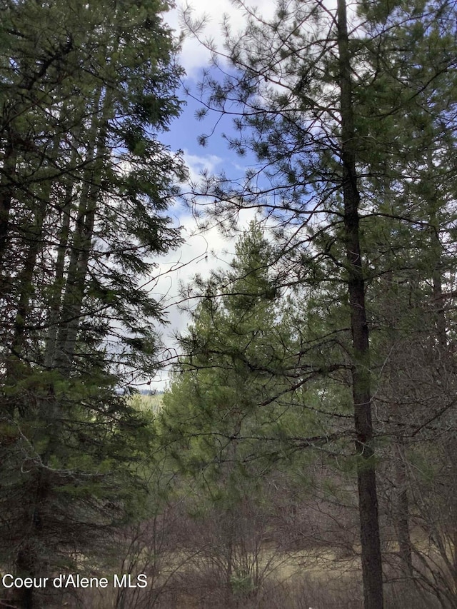 6450 Alder Creek Rd, Saint Maries, ID 83861 - photo 5