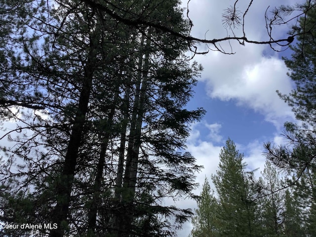 6450 Alder Creek Rd, Saint Maries, ID 83861 - photo 7