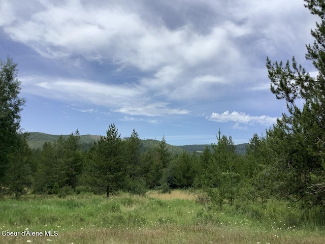 6450 Alder Creek Rd, Saint Maries, ID 83861 - photo 1
