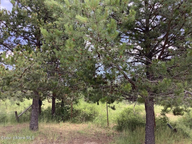 6450 Alder Creek Rd, Saint Maries, ID 83861 - photo 2