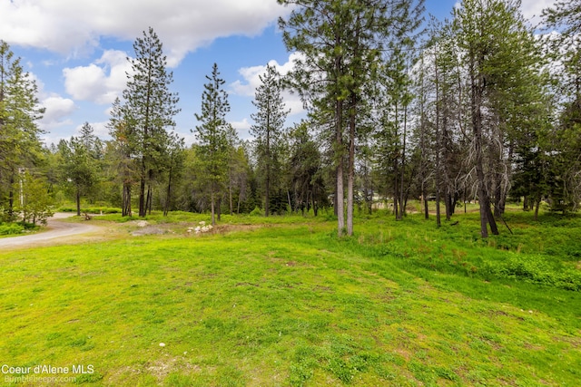 30603 N Riffle Rd, Spirit Lake, ID 83869 - view of yard