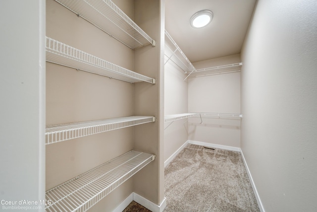 30603 N Riffle Rd, Spirit Lake, ID 83869 - spacious closet with carpet floors