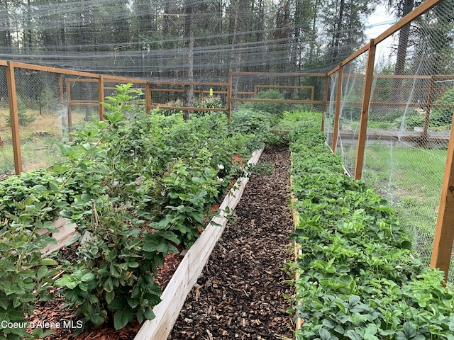 30603 N Riffle Rd, Spirit Lake, ID 83869 - view of yard featuring a vegetable garden and fence