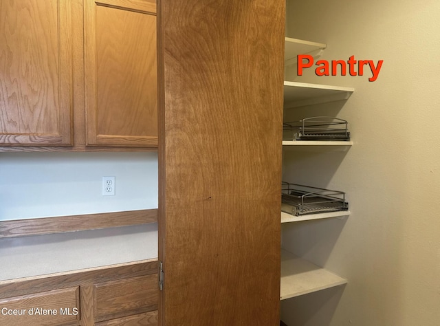 1205 Kinnikinnik Ave, Sandpoint, ID 83864 - view of closet