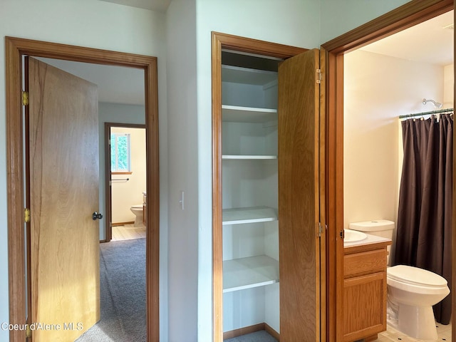 1205 Kinnikinnik Ave, Sandpoint, ID 83864 - full bathroom with vanity and a shower with curtain