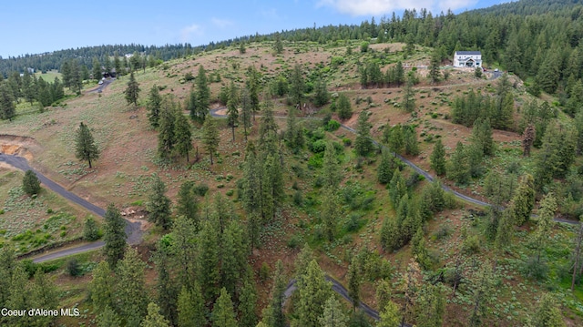 6527 E Big Rock Rd, Spokane, WA 99223