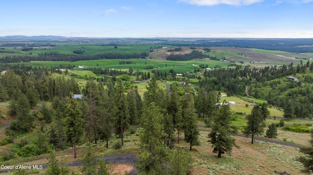 6527 E Big Rock Rd, Spokane, WA 99223