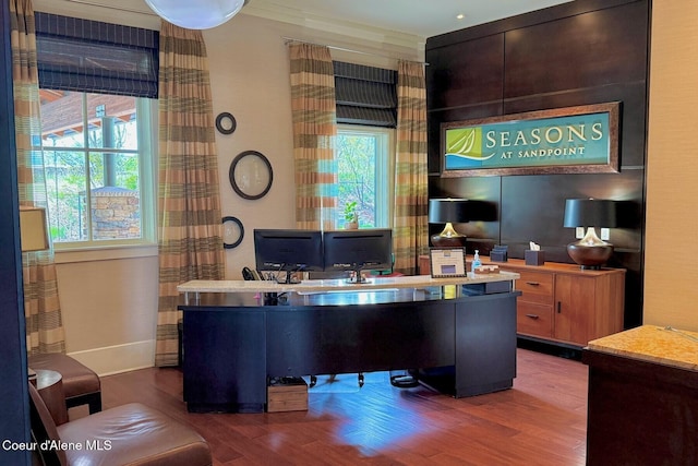 office featuring wood finished floors, baseboards, and crown molding