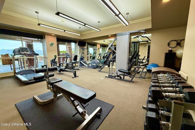 workout area with carpet floors and ornamental molding