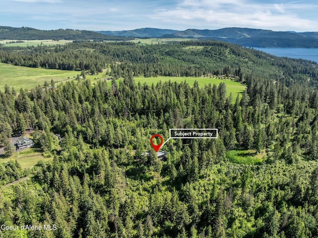 3463 E Sunset Dr, Harrison, ID 83833