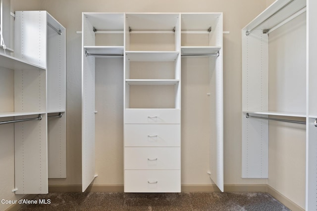 4445 W Greenchain Loop Unit 2, Coeur Dalene, ID 83814 - walk in closet with carpet