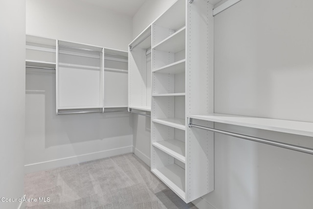 2867 W Lumber Ln, Coeur Dalene, ID 83814 - walk in closet with light colored carpet