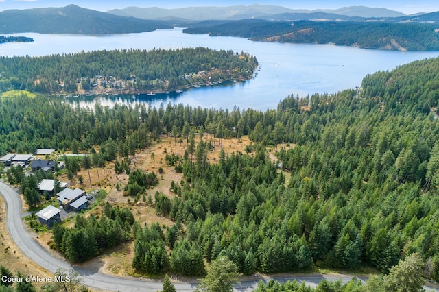 7063 S Buckrail Rd, Harrison, ID 83833