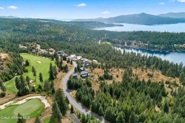 7063 S Buckrail Rd, Harrison, ID 83833