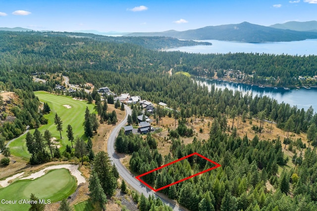 7063 S Buckrail Rd, Harrison, ID 83833