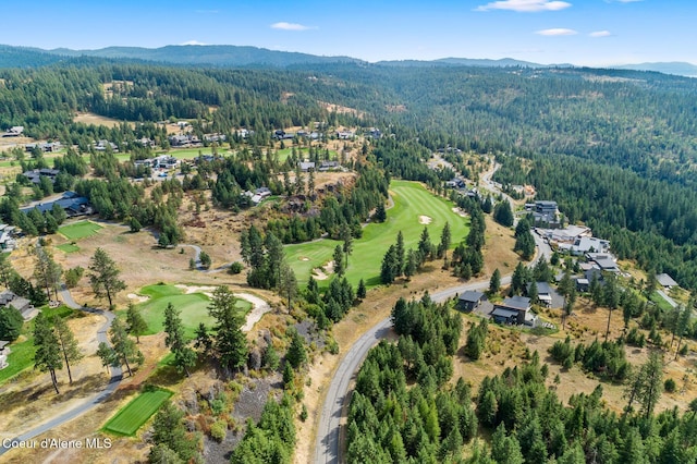 7063 S Buckrail Rd, Harrison, ID 83833