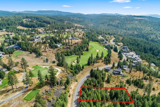 7063 S Buckrail Rd, Harrison, ID 83833