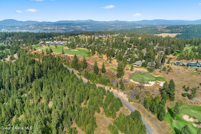 7063 S Buckrail Rd, Harrison, ID 83833