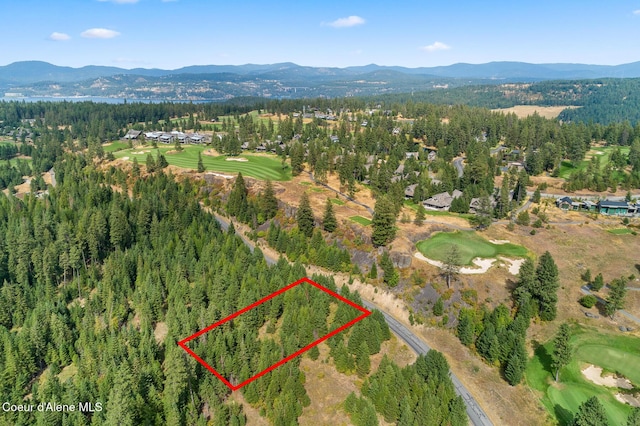 7063 S Buckrail Rd, Harrison, ID 83833