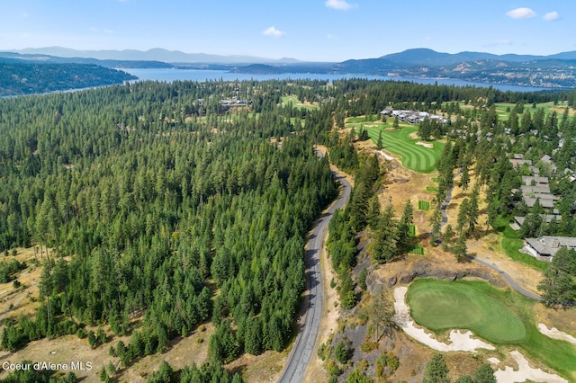 7063 S Buckrail Rd, Harrison, ID 83833
