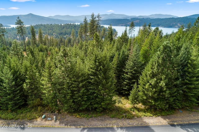 7063 S Buckrail Rd, Harrison, ID 83833