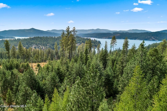 7063 S Buckrail Rd, Harrison, ID 83833