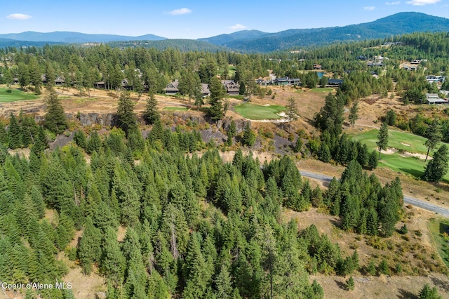 7063 S Buckrail Rd, Harrison, ID 83833