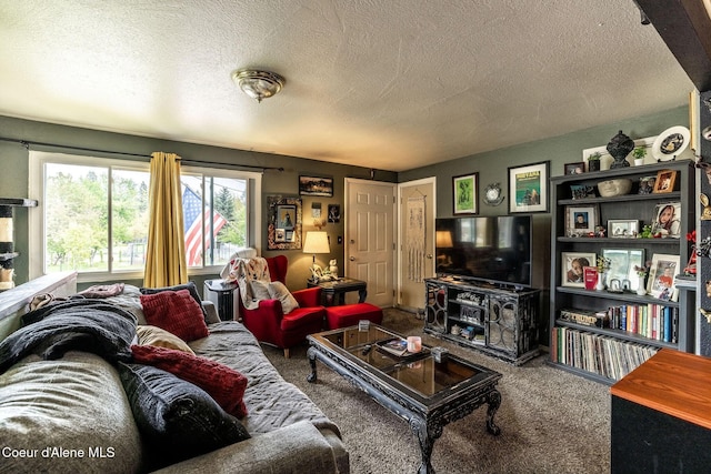 837 N 19th St, Coeur Dalene, ID 83814 - carpeted living area with a textured ceiling