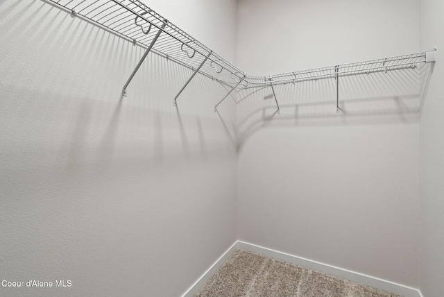 7823 N Girard Cir, Coeur Dalene, ID 83815 - spacious closet featuring carpet flooring