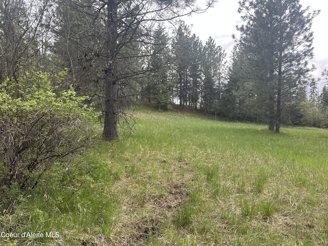 E Badger, Harrison, ID 83833