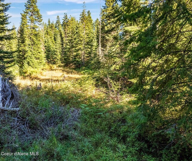E Badger, Harrison, ID 83833