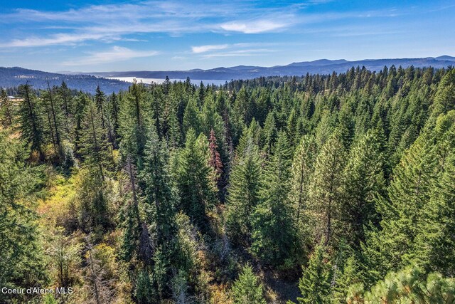 E Badger, Harrison, ID 83833