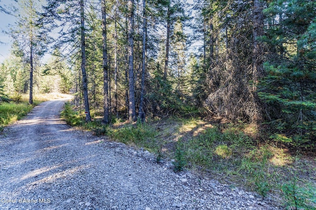 E Badger, Harrison, ID 83833