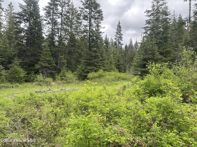 E Badger, Harrison, ID 83833