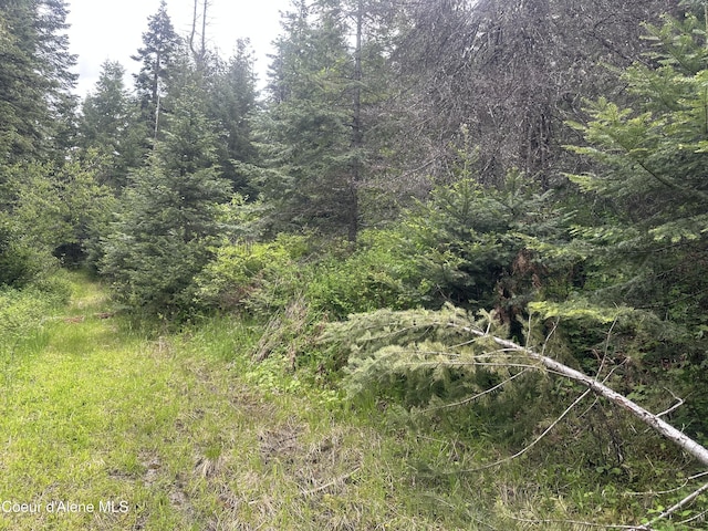 E Badger, Harrison, ID 83833