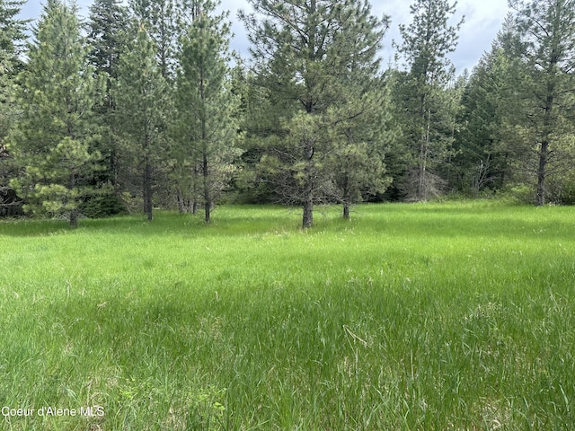 E Badger, Harrison, ID 83833