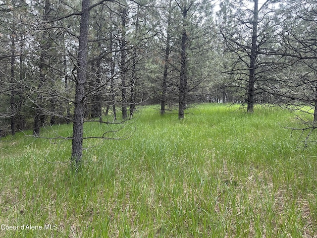E Badger, Harrison, ID 83833