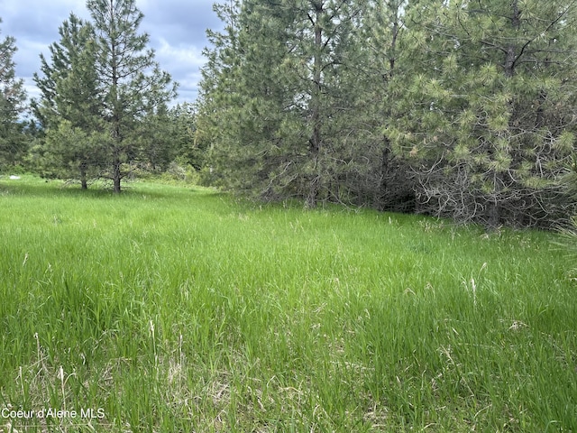 E Badger, Harrison, ID 83833