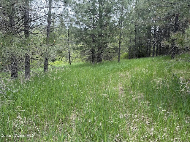 E Badger, Harrison, ID 83833