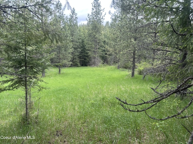E Badger, Harrison, ID 83833