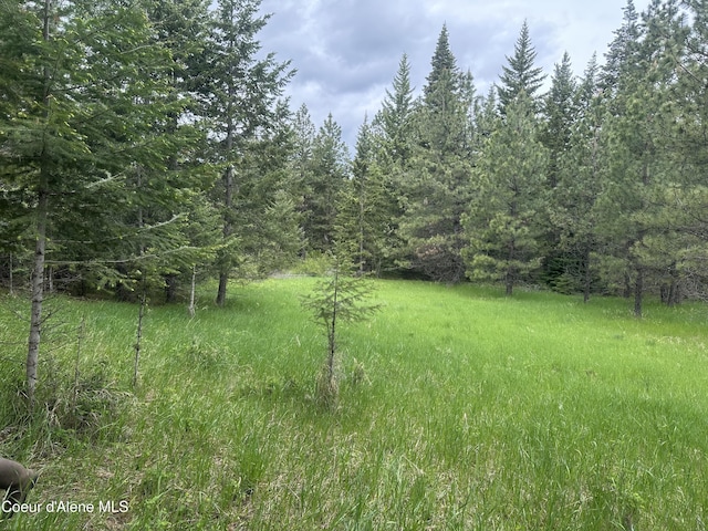 E Badger, Harrison, ID 83833