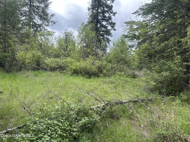 E Badger, Harrison, ID 83833